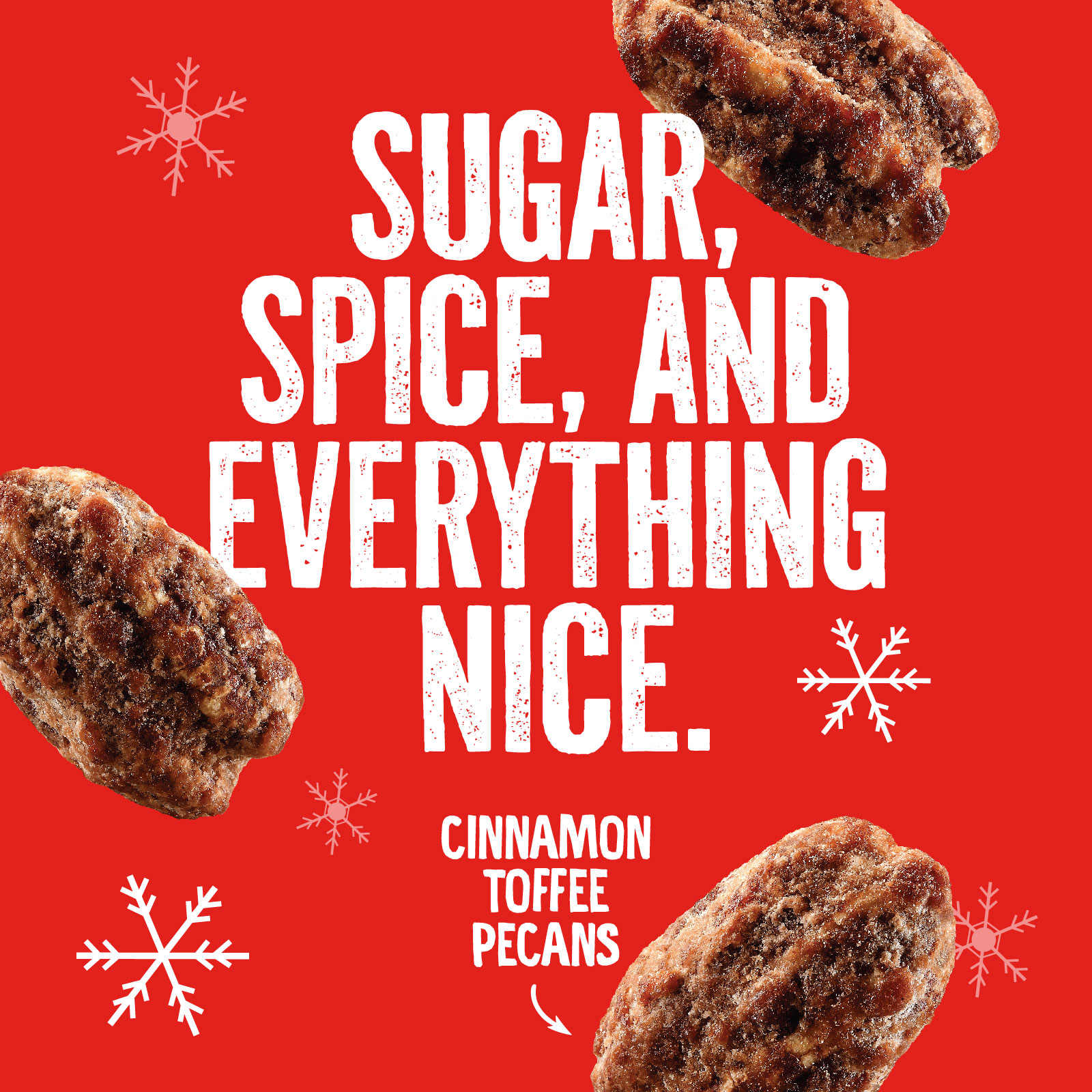 A festive red background features the text Sugar, Spice, and Everything Nice. Surrounding the text are images of cinnamon toffee pecans and white snowflake illustrations. The text Cinnamon Toffee Pecans appears below.