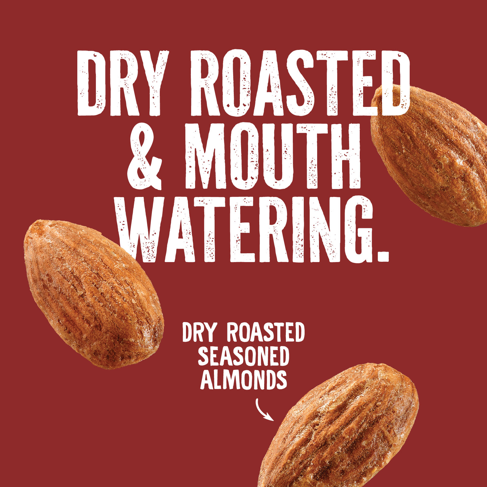 Three seasoned almonds are scattered on a red background with the text Dry Roasted & Mouth Watering. Below, another text reads Dry Roasted Seasoned Almonds with an arrow pointing to an almond.